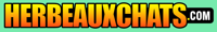 Herbeauxchats