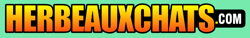 Herbeauxchats