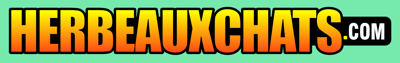 Herbeauxchats
